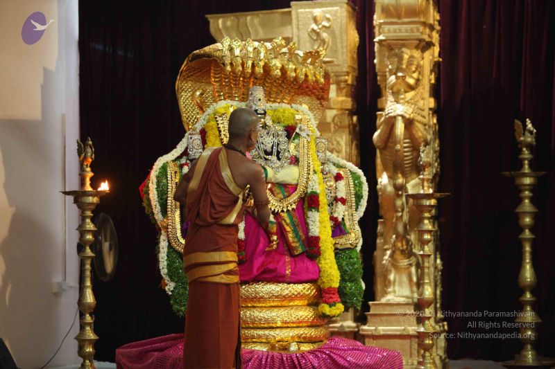 File:20151116 Photo 1275 1NzapP7YfX7n8DdFRZCs35RP0By6VXwUv.JPG