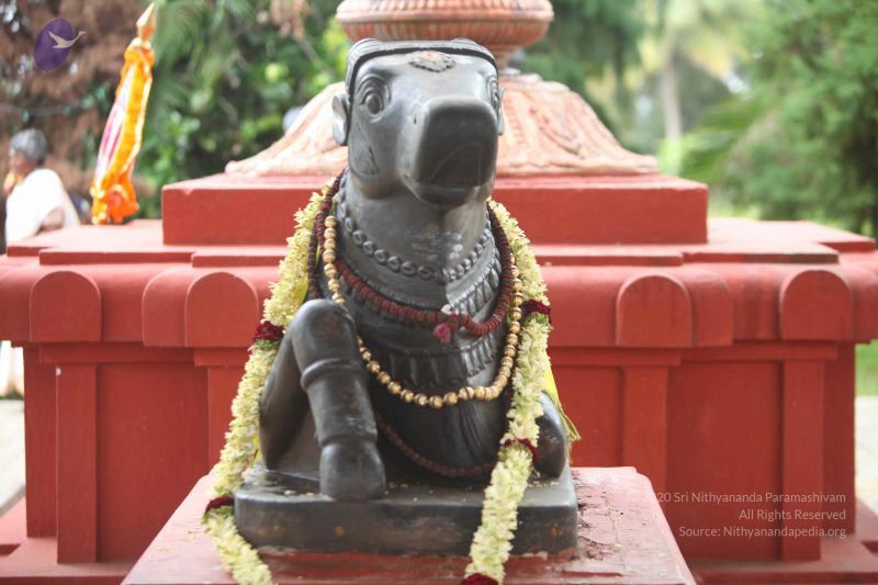 File:20151116 Photo 1283 1QJNnd-IOfK2LadUWqxF5vNtHuKkVjvnG.JPG