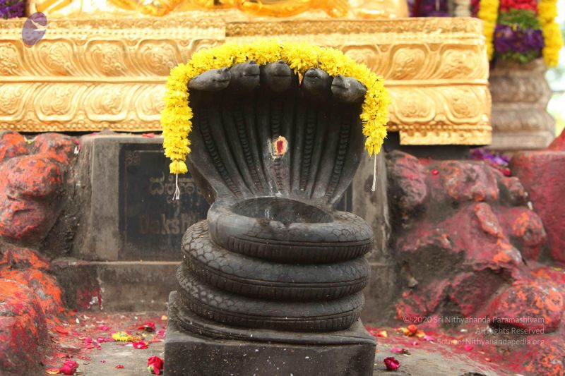 File:20151116 Photo 1288 1E-NNjgUKSnAAm53dLNl2XfmAhYcABP7g.JPG