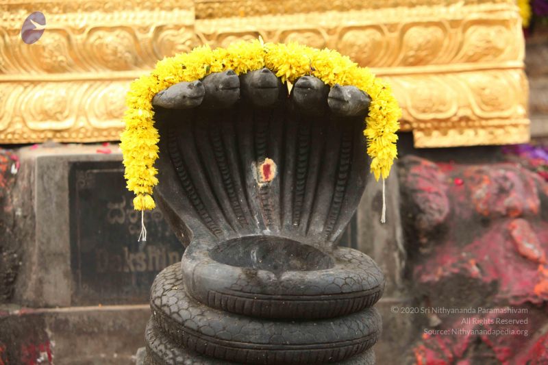 File:20151116 Photo 1289 19cdR-FK8-3XE9DDPPASdbNlirx7GhPm-.JPG