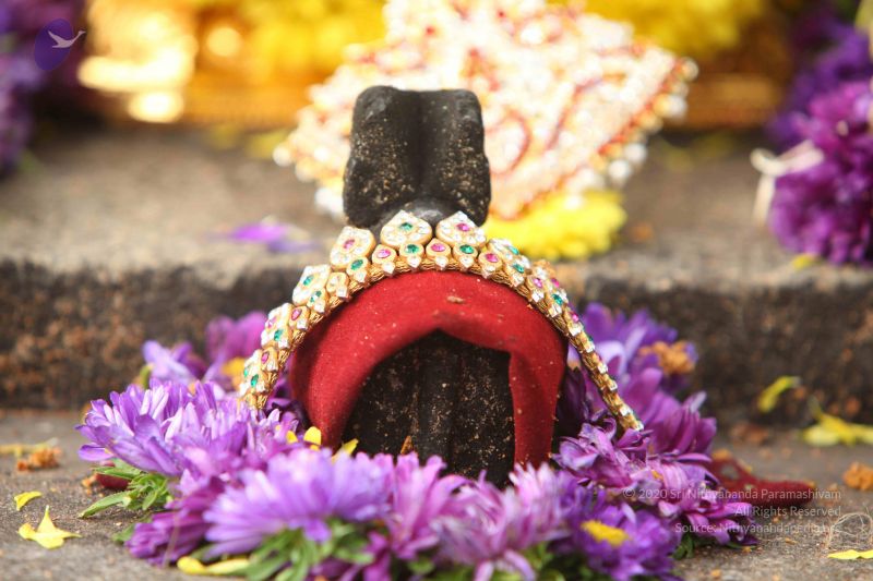 File:20151116 Photo 1292 1G 8dgguhfwb0iojQ1eYpUQROqno36 O5.JPG