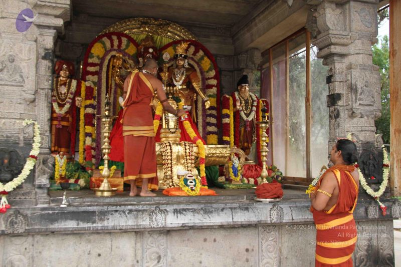 File:20151116 Photo 1337 1HP20MRqFG6xZh3cv3sGRbtNlD0nUSV3y.JPG