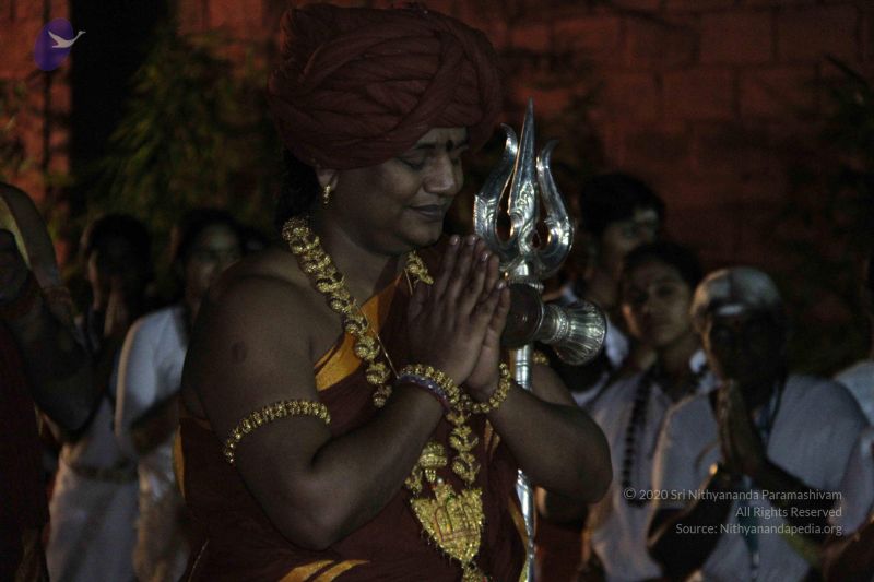 File:20151116 Photo 1533 1-x5rdLlxa3 8xFBQHSL8TN4mbJvfQCyY.JPG