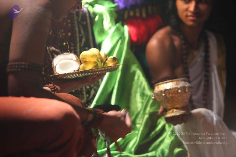 File:20151116 Photo 1671 1KI9qW0sGihwS7ivIXgG7MC1HPkwLbQ1z.JPG