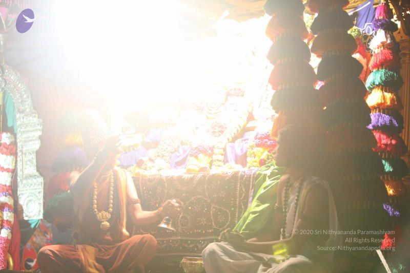 File:20151116 Photo 1696 1oli PkBE2VyHLaoZvNDwTk6kSS5aBzHK.JPG