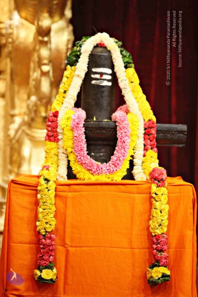 File:20151118 8218 CMP WM.jpg