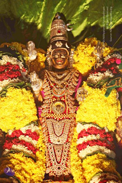 File:20151118 8602 CMP WM.jpg