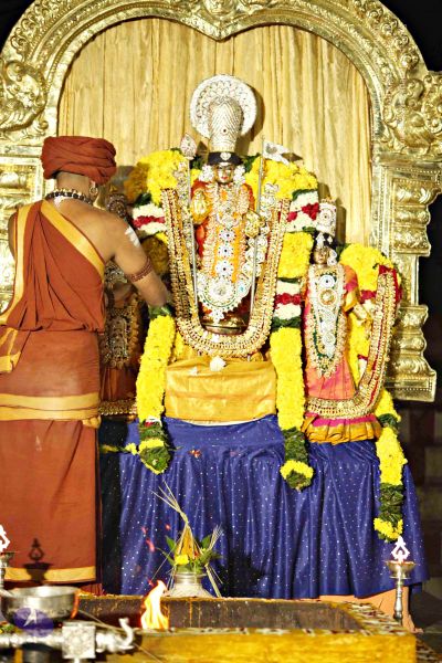 File:20151118 8723 CMP WM.jpg