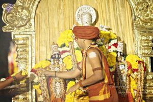 20151118 8767 CMP WM.jpg