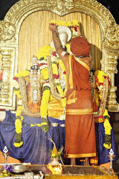 File:20151118 8777 CMP WM.jpg