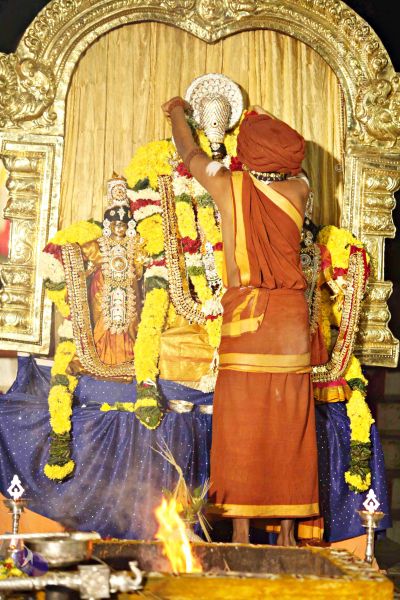 File:20151118 8778 CMP WM.jpg