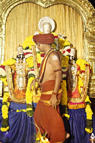 File:20151118 8780 CMP WM.jpg