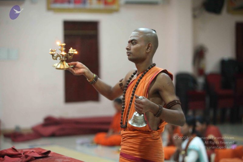 File:20151118 Photo 1051 1q7w3tuIi49vyn1fD9iT4qUnSmVBvALxO.JPG