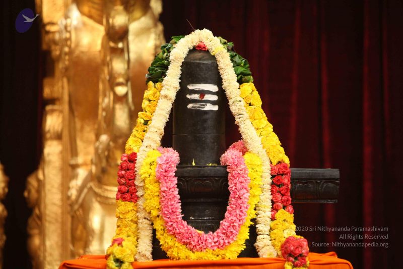 File:20151118 Photo 1059 1-1S3PAW8 bkir fuXT4hC5BhUqYedxSP.JPG