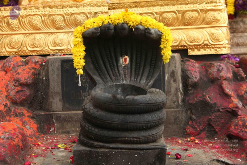 File:20151118 Photo 1098 10ghxdHh9 29xpjVjnR8tDOtSkIko10HC.JPG