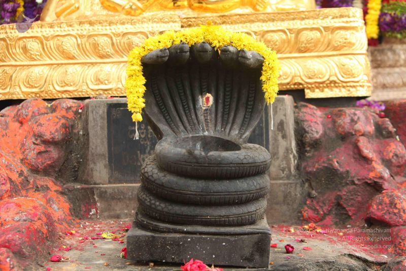 File:20151118 Photo 1099 1W8klAzZwG5GfbHvtoC25KpdmCeqemibS.JPG