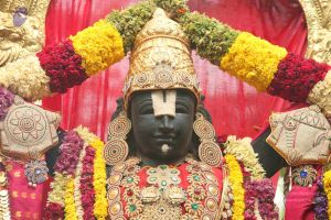 20151118 Photo 1102 1FYULqzHvqwEiLRW0HIZO-Mnh m6fGGzR.JPG