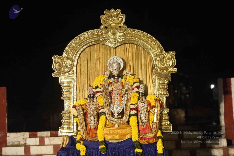 File:20151118 Photo 1209 1QYsdjd-WpUeO-Q7Cr2-JQyC2nkY8q4wK.JPG