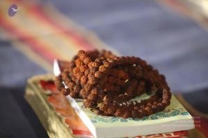 20151118 Photo 1211 1aO9rGr5bBTBKtJ8eIac96OCD37FrnWnn.JPG