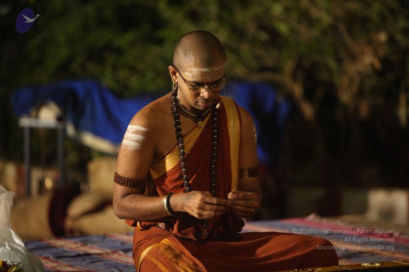 File:20151118 Photo 1214 1gcq1d 2VyuBjpfktSbvFhST 4xYC4XHn.JPG