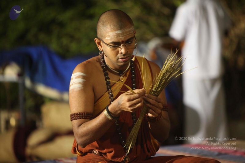 File:20151118 Photo 1215 1oE9oLaGyTTH5Lg2Ro5K3tXHjtXjXe6b6.JPG