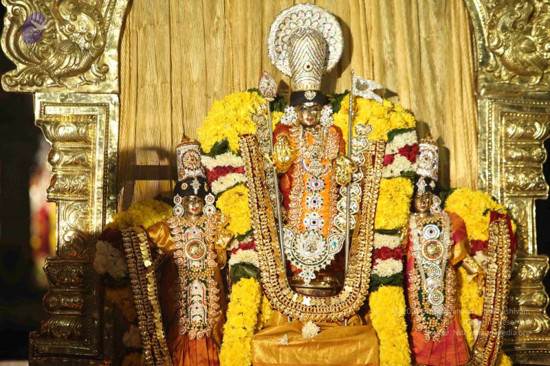 File:20151118 Photo 1227 1CsGdASXEixHHPRI7N8gYKxTCNCVPahln.JPG