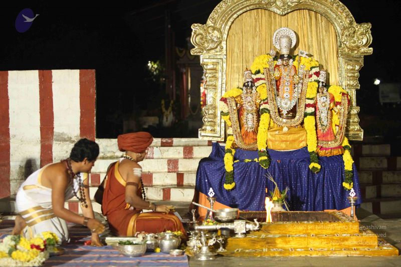 File:20151118 Photo 1229 12OuAFTfhBcbG-XCMCeCcfdOmoY8ga3Kc.JPG