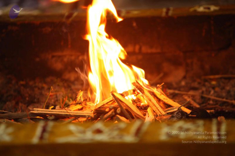 File:20151118 Photo 1234 1E4v4yJNUxKTjF3DCZSa0BxODsjqQRI5r.JPG