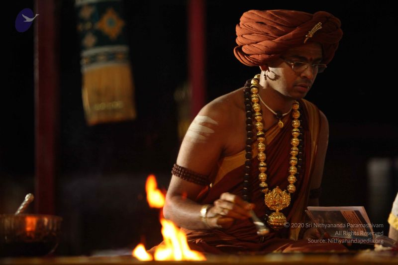 File:20151118 Photo 1241 1GRoBVNu3wpup19-AzYAT21YV p9-Wxgr.JPG