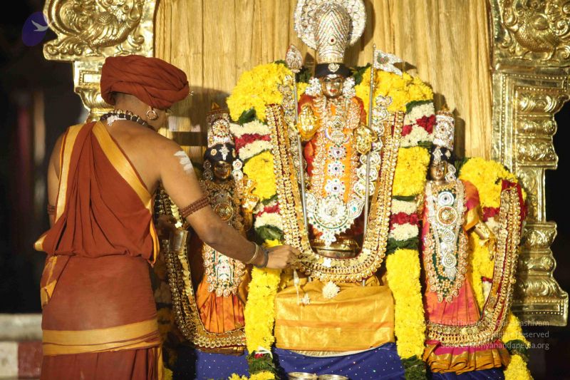 File:20151118 Photo 1255 1sgdeoUPmhY5YT510v8fDmKLx-Fv1Mu3 .JPG