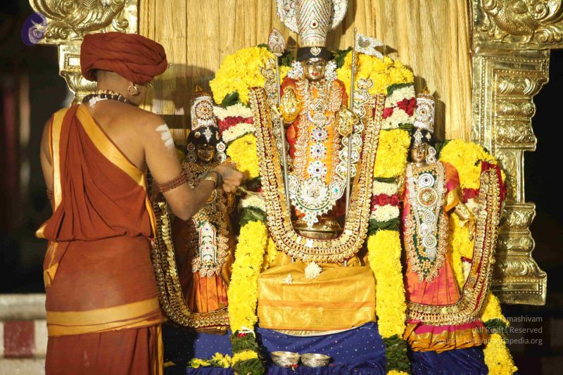 File:20151118 Photo 1256 1eAbYvcYnLRq-hyBGtHKI6rMXnoNaFmMa.JPG