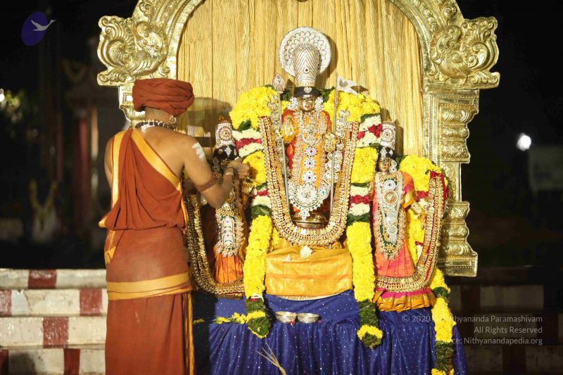 File:20151118 Photo 1257 1ECfj6Tm1TA9au6zChB0EAk70RsbYy3HZ.JPG