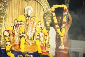 20151118 Photo 1263 1F3M6hPst5d75lsmUyeNE3FJhGrYSg7y3.JPG