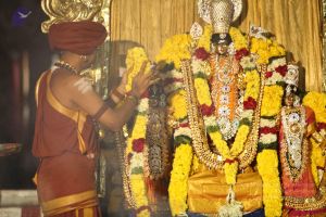 20151118 Photo 1270 1vf8oFuA68PBQIilCRswF4gQp4iWdUA3W.JPG