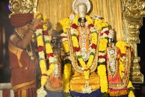 20151118 Photo 1272 1pLvDLmwxGeDxU p6t2XKvVmhexOptKl2.JPG