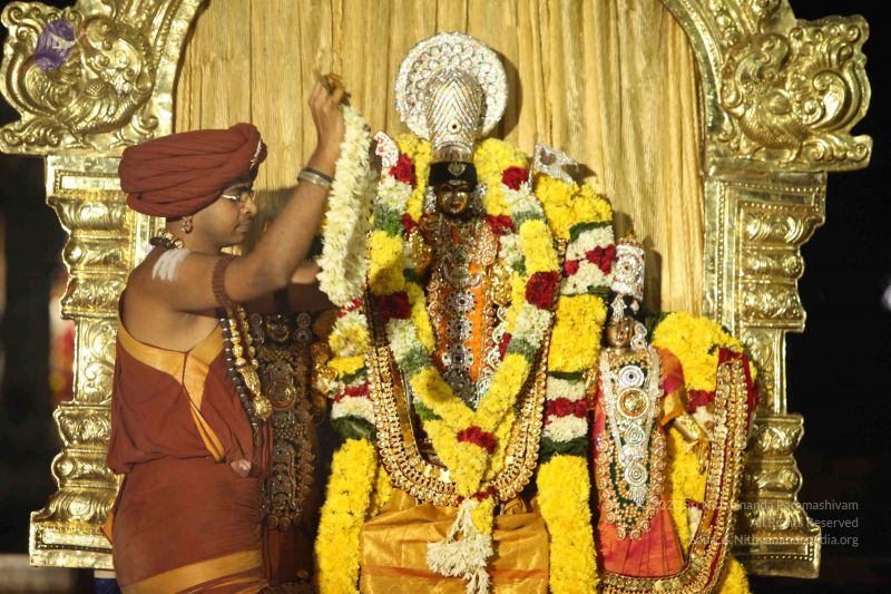 File:20151118 Photo 1280 1rweC7A iN3kCe2UnxBGvBdYRe7GwExnV.JPG