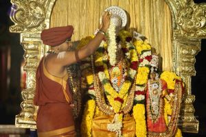 20151118 Photo 1281 16J7XiZrAiC2d2HnSeB2fa73MtoIyq--y.JPG