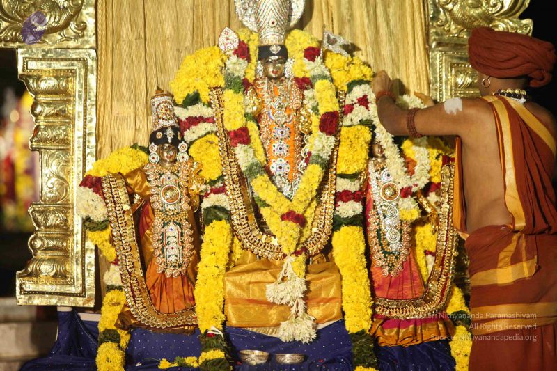 File:20151118 Photo 1283 1eEo2NxS VJ253Gw8JNJUT1b5Gqhpa59Q.JPG