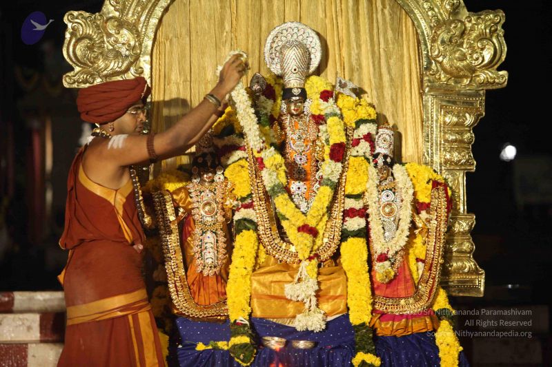 File:20151118 Photo 1285 1asU5UIc6-H7j6l7rtxibCwlsQ8c9Whs .JPG