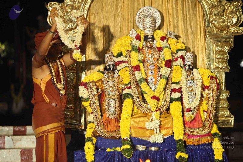 File:20151118 Photo 1286 1nlUugxCiPozTfT7wL3PhWMWSQDqVExhk.JPG