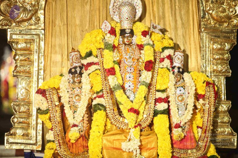 File:20151118 Photo 1292 1jeu5QrcVxLw7PdHW7h7pzhSooUS4HFwg.JPG