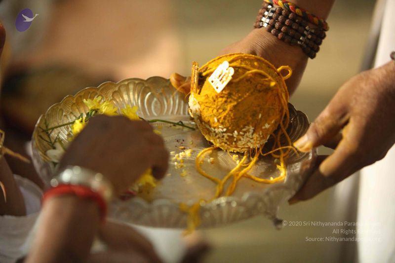 File:20151118 Photo 1293 1OqH6bSA5-WF9XT8H4GEt5oxsK0CZKbiT.JPG