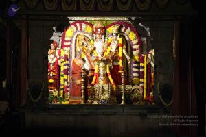 20151118 Photo 1303 1pNNdd Tp6eyHiaulZCVvuvPE7SGHMoRM.JPG