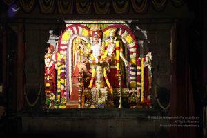 20151118 Photo 1304 1Wq5sppRQ1JNWIsJsNRFdQ9-DKzDuWC3j.JPG