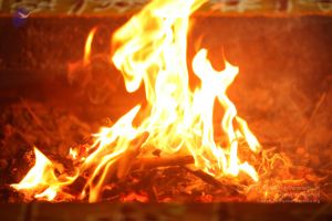 20151118 Photo 1307 165D98PzR0TmlpdCyAr5f4LQo0mB5j56M.JPG