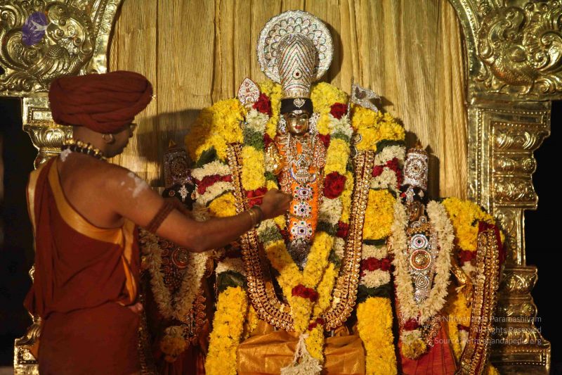 File:20151118 Photo 1313 1OLpc6A3ctAPZsucg1tr0GzjDoZxrVj01.JPG