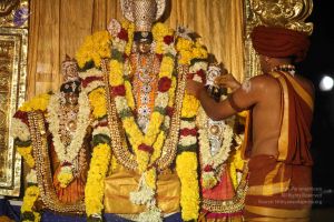 20151118 Photo 1318 16F1Sj25fO6xN-f0CMLQKfxVfuPg0bsS9.JPG