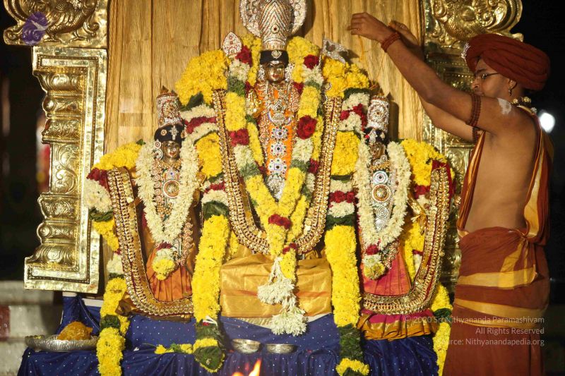 File:20151118 Photo 1319 1iaTubStDHEPNxumt2uRBxoqQLtBXEOAL.JPG