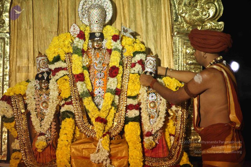 File:20151118 Photo 1320 158FoKp6OFdD9oSvEmmMWlRBBeuSeLBoH.JPG