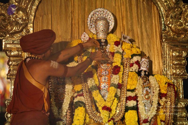 File:20151118 Photo 1324 1lcr4RAPSiAgTAb5yzVTeDBuqtrl8uYl2.JPG